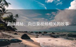趣味揭秘：向日葵视频相关的故事