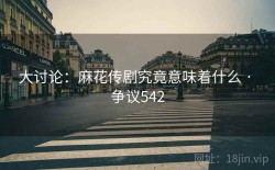 大讨论：麻花传剧究竟意味着什么 · 争议542