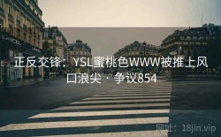 正反交锋：YSL蜜桃色WWW被推上风口浪尖 · 争议854