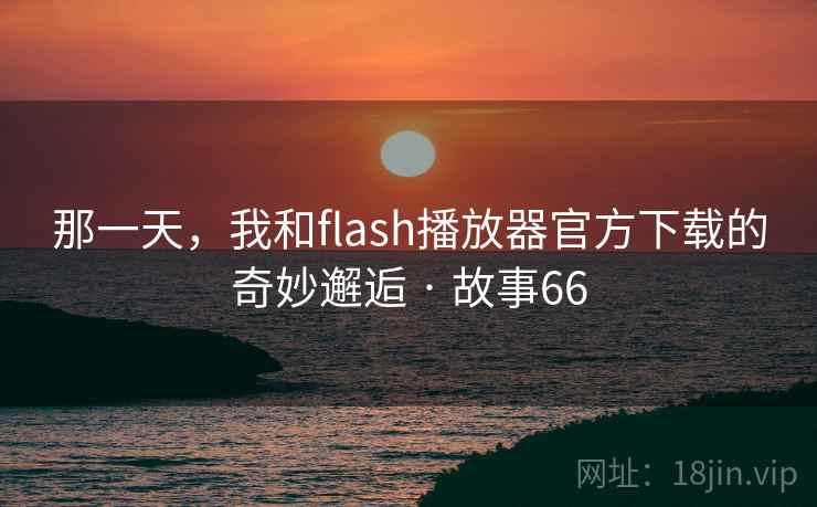 那一天，我和flash播放器官方下载的奇妙邂逅 · 故事66